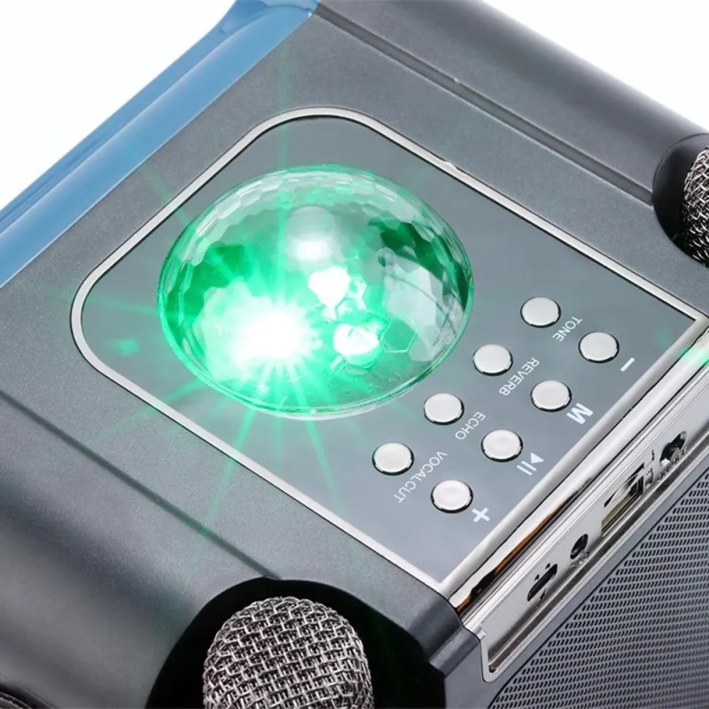 Enceinte Bluetooth Karaoke Sans Fil 10W Speaker Portable