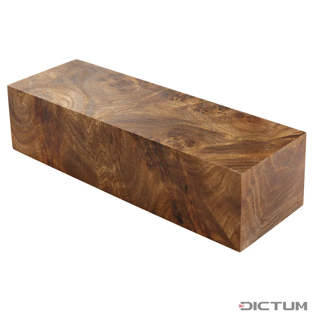 Orme veiné, stabilisé, bloc, 140 x 43 x 33 mm