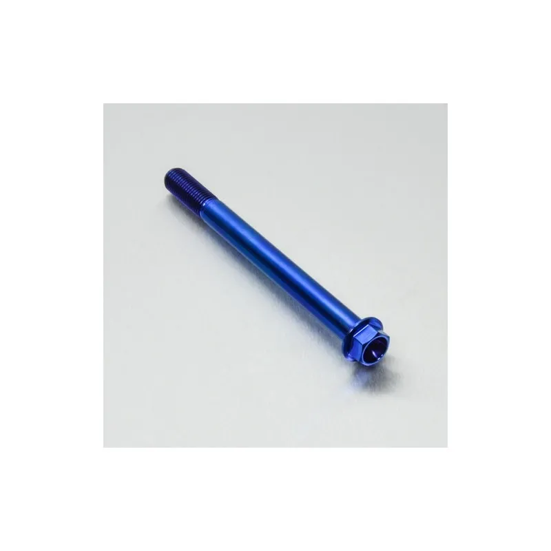 Vis Titane tête Hexagonale M10 x 1.25mm x 115mm